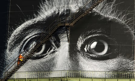 An industrial climber checks a giant ad for the current exhibition ‘Wonders of Nature’ at the Gasometer in Oberhausen.