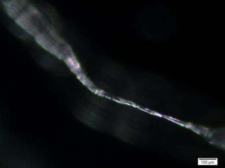 An inverse image of a plastic fibre. Microplastics can travel through the atmosphere and end up in regions far from their original emission source.