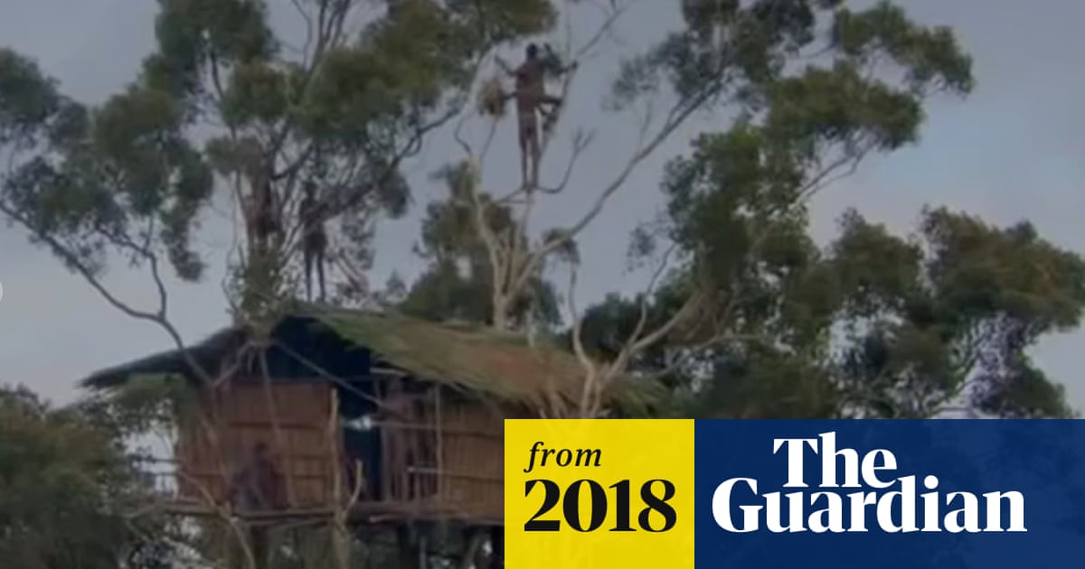 BBC admits treehouse scene from Human Planet series was faked | BBC