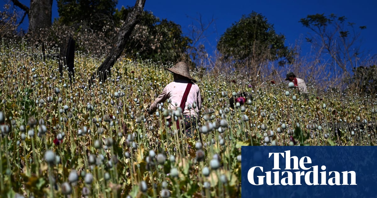 Myanmar opium production surges since coup, UN finds