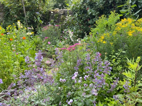 A colourful and densely planted garden.