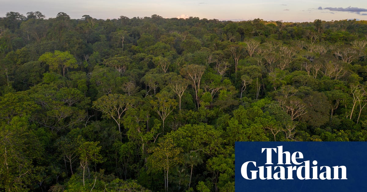 Brazil: judge bans missionaries from indigenous reserve over Covid-19 fears