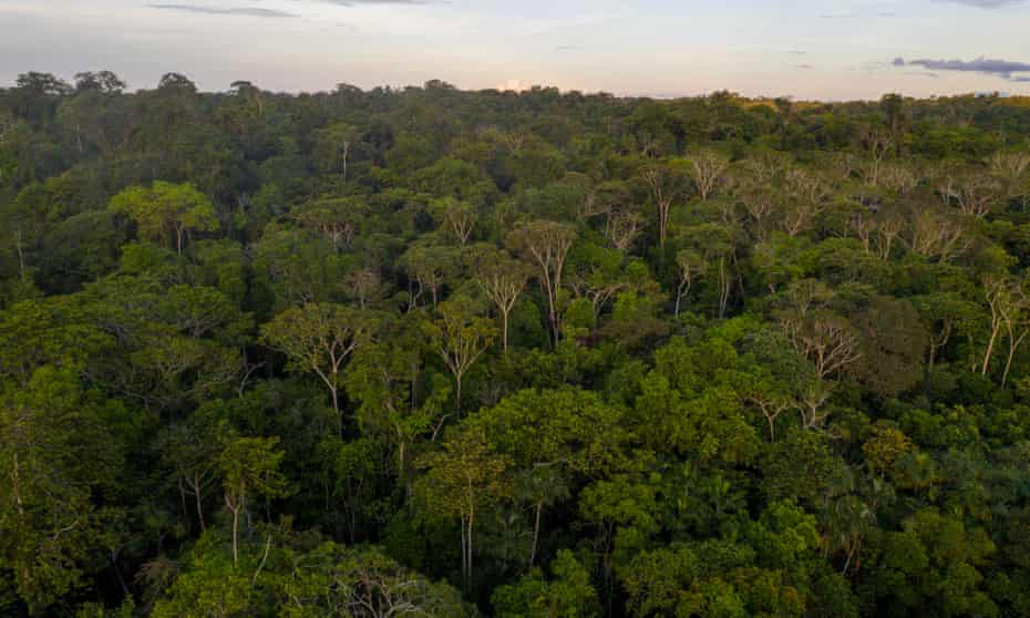 An aerial view of indigenous land in the Amazon rainforest, Brazil. 