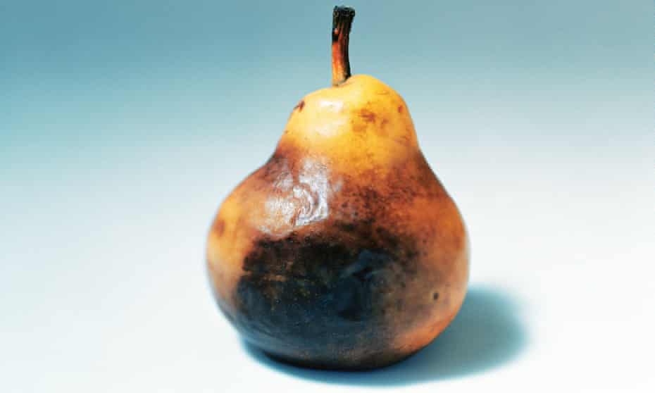 Mouldy pear