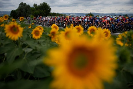 Obligatory Tour de France peloton-passes-a-field-of-sunflowers photo.