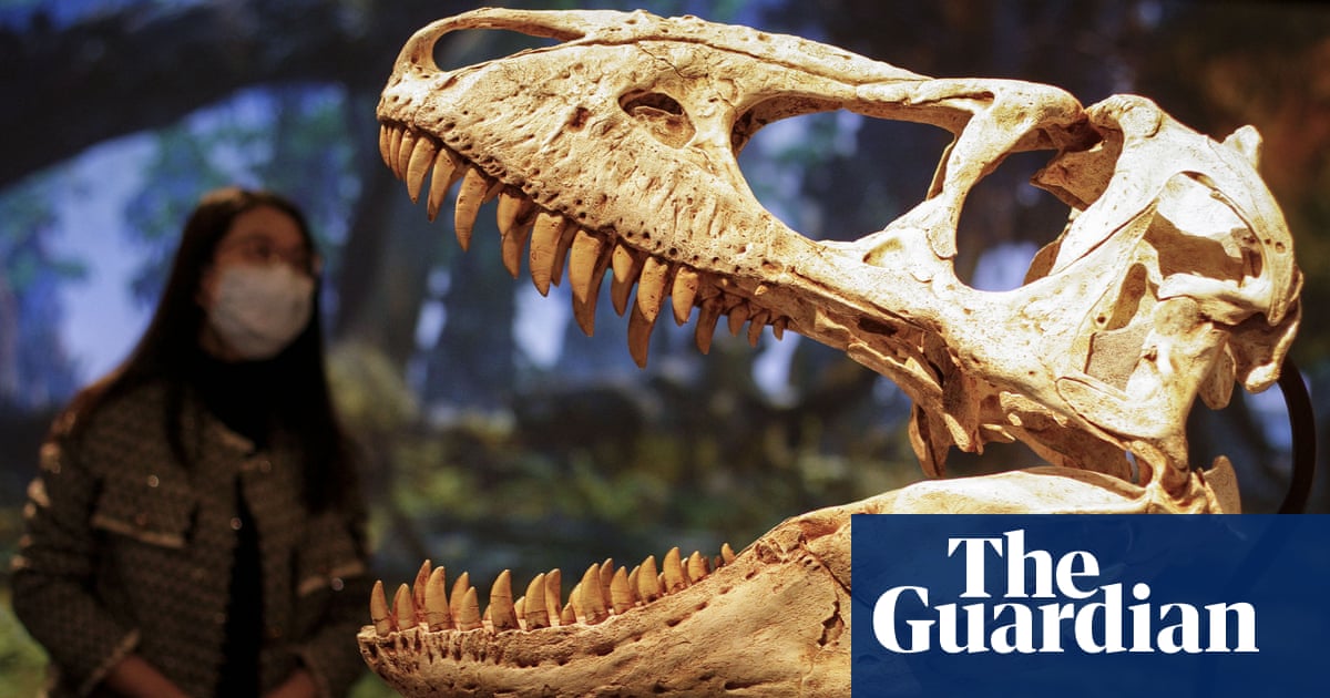 Paleontology ‘a hotbed of unethical practices rooted in colonialism’, say scient..
