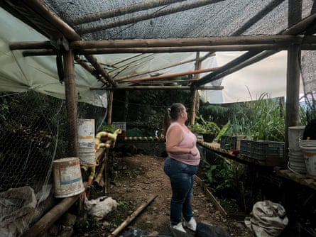 A woman stands in a shed overlooking a green space.