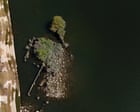 Thames Water Pilot Sees 'Forever Chemical' Surge