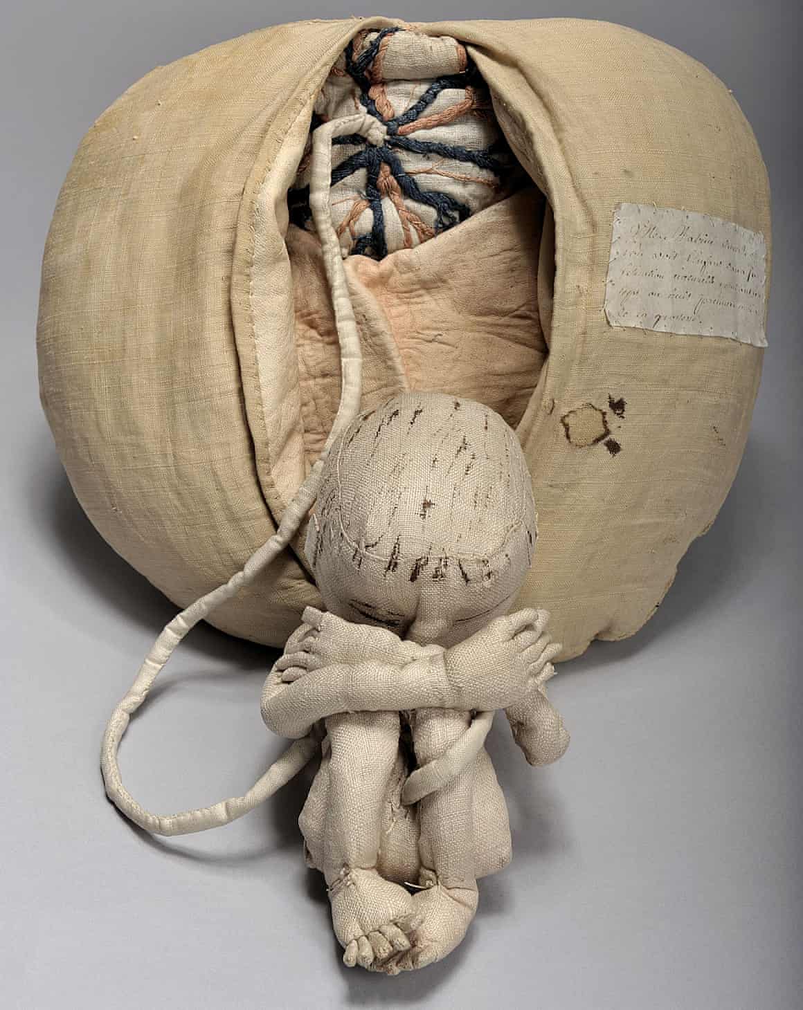 Part of the Mannequin of Madame du Coudray to teach midwifery.