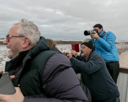 Five tourists aim camera at polar bears from the outdoor viewing platform of a bus.