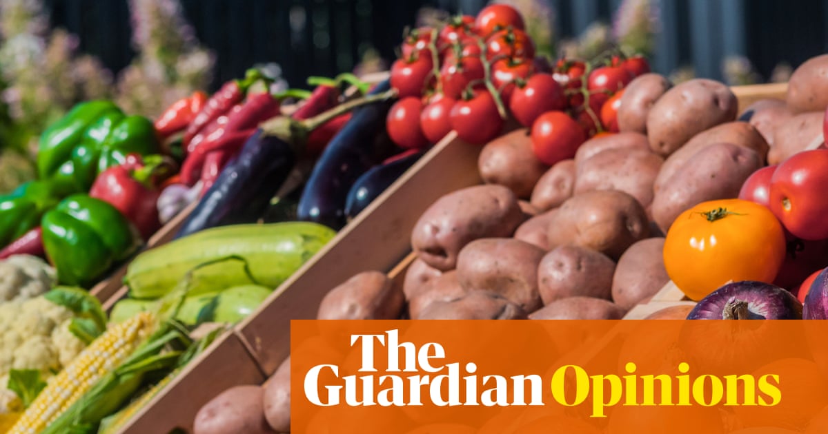 Why small farmers can’t fix our hunger problem