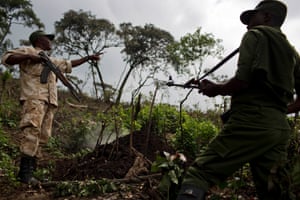 Park rangers survey an area of newly felled trees that are being burned to make charcoal on the edge of the park