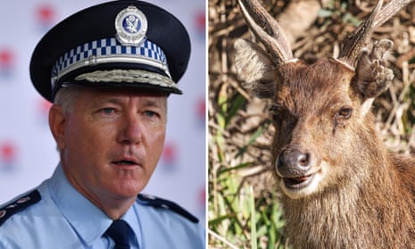 Composite featuring Mick Fuller speaking to the media on 28 June and a stock image of a rusa deer