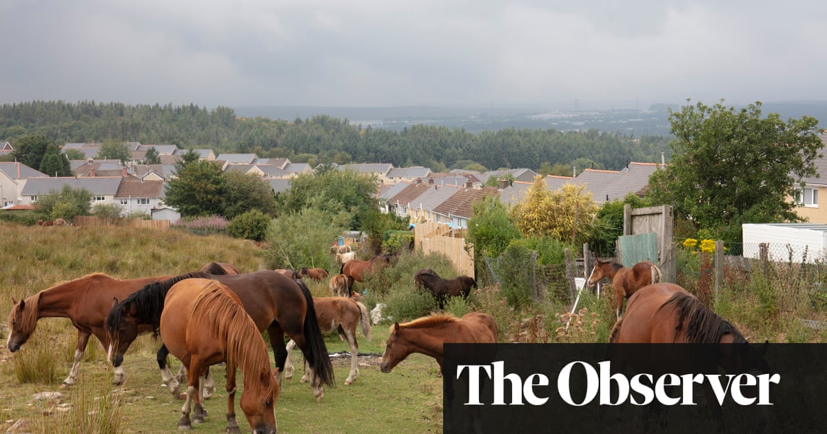 ‘La gente ha caminado por aquí durante siglos’: los ritmos de los valles galeses en imágenes | Fotografía ‘La gente ha caminado por aquí durante siglos’: los ritmos de los valles galeses en imágenes | Fotografía