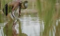 Adrian Burragubba’s nephew Nathan Baira at Queensland’s Doongmabulla Springs