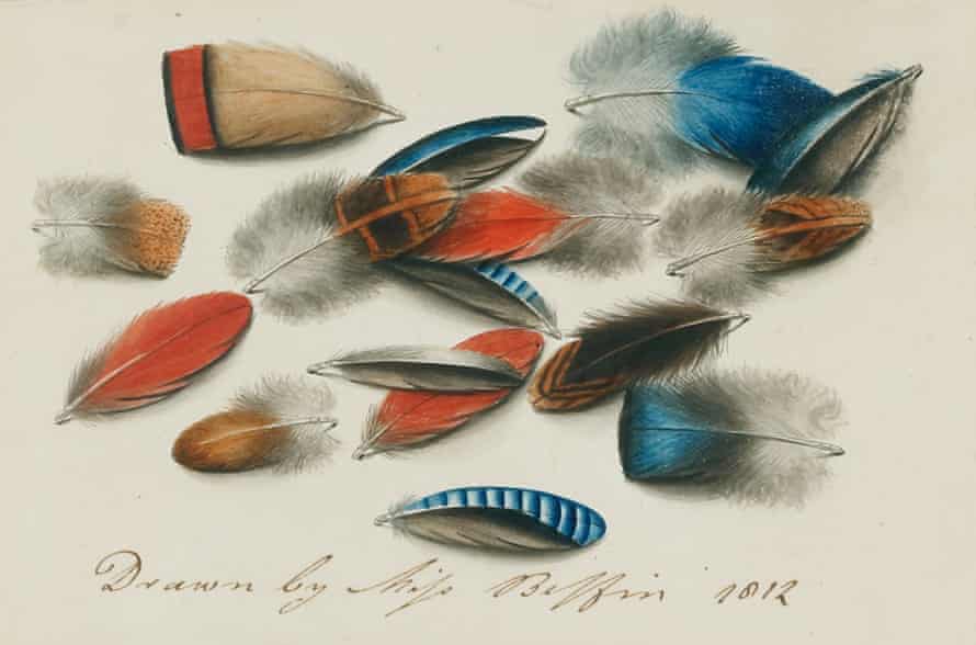 Very detailed feather painting