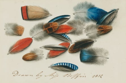 Extremely detailed painting of feathers