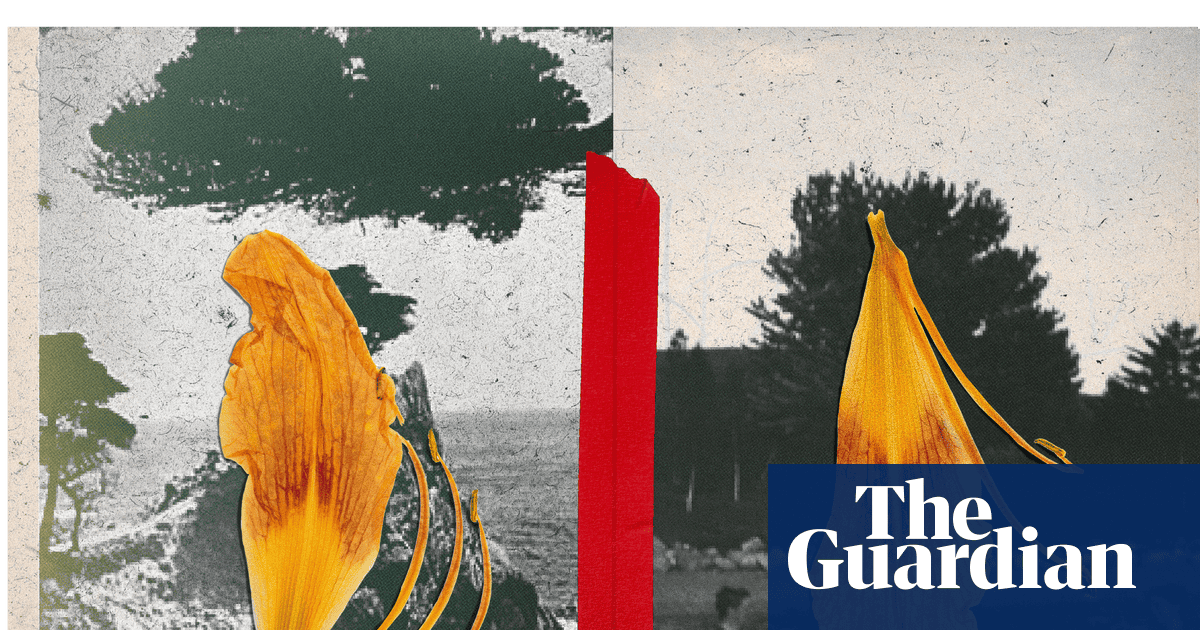 We know how to mourn other humans – but what about ecological grief?
