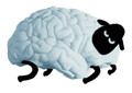 Sheep made from brain