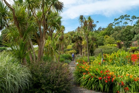 Logan Botanic gardens, Rhins of Galloway, Scotland, UK