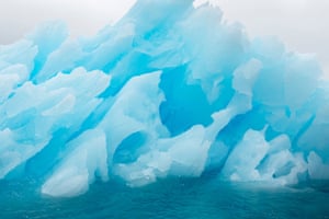 There were celebrations this week when it was revealed that plastics had finally reached the world’s last great wilderness of Antarctica.