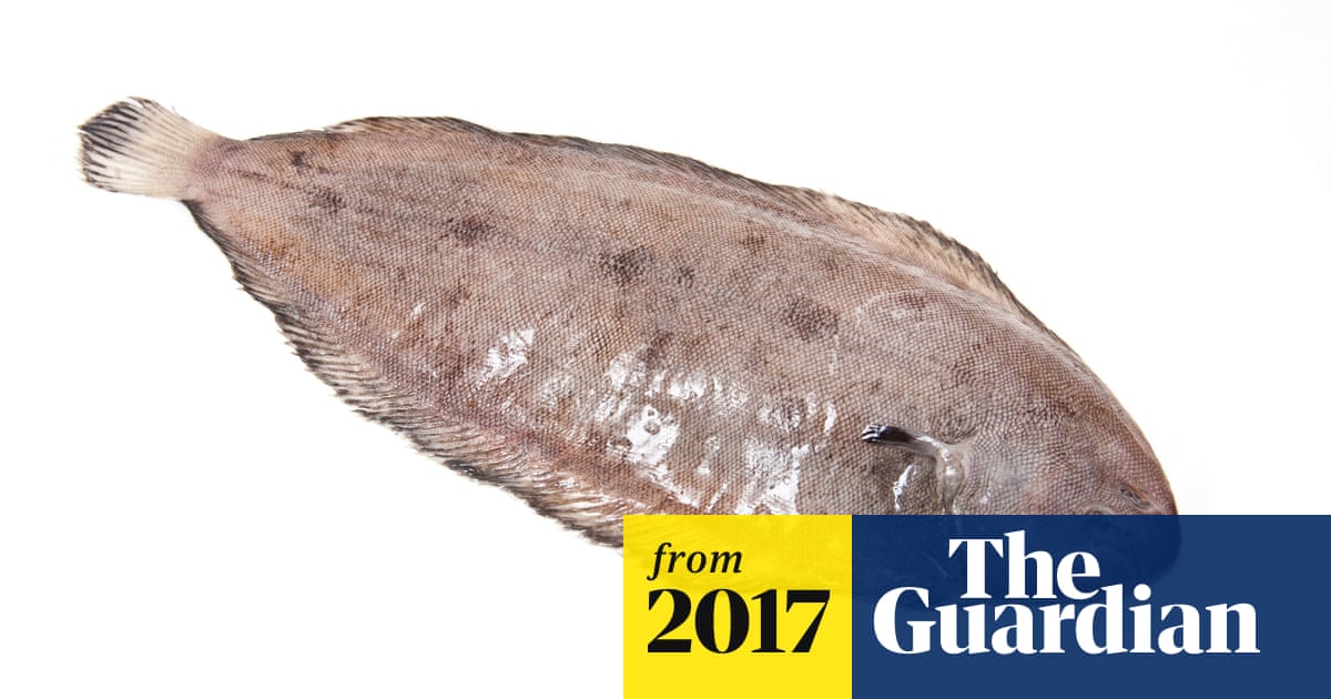 Paramedics Save Man After He Swallows Whole Live Dover Sole Uk