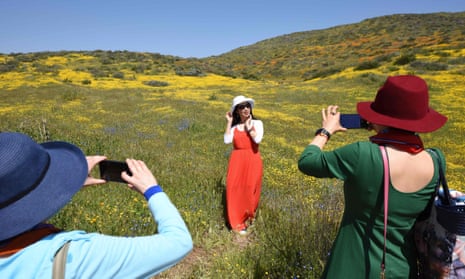 A woman is photographed amid a wildflower ‘super bloom’ covering the hills surrounding Diamond Valley Lake near Hemet, California, 24 March 2019.