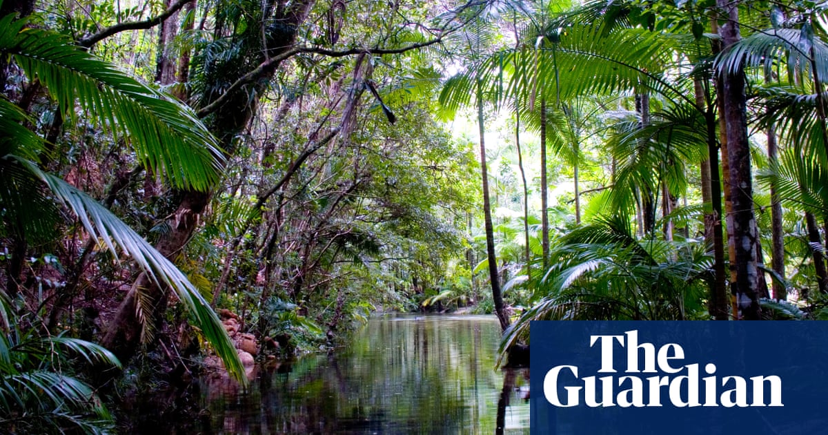 Climate change now 'the most significant threat' to Australia's wet tropics - The Guardian