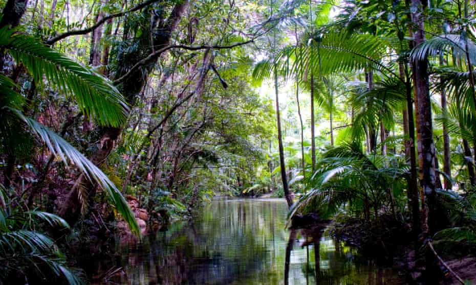 River in Daintree Rainforest, Queensland