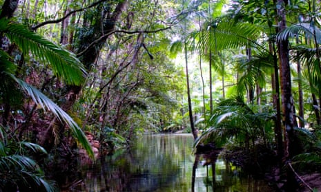 The federal government’s efforts to make Daintree Rainforest world heritage listed was met by fierce resistance by the Queensland government, cabinet documents from 1988 reveal.