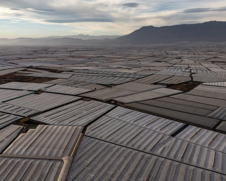 ‘Visible from space’: why Spain has the world’s biggest concentration of greenhouses