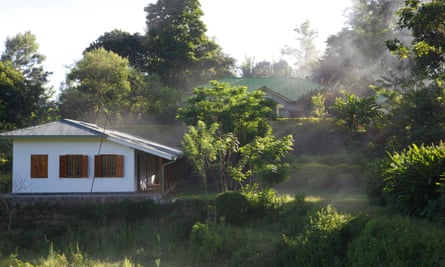 Factory &amp; bungalow in mist, Amba Estate, Sri Lanka
