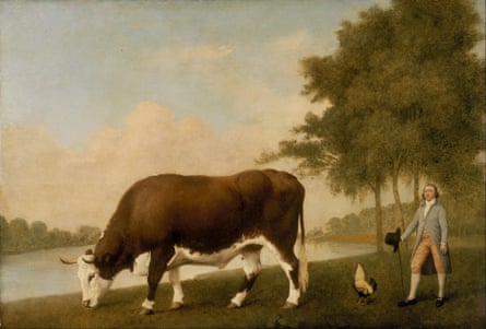 The Lincolnshire Ox by George Stubbs, 1790