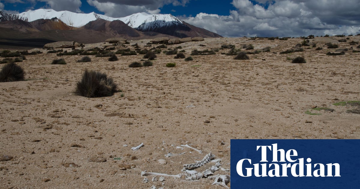 Chile’s archaeologists fight to save the world’s oldest mummies from climate change
