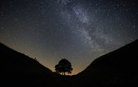 A long-exposure photograph of the Sycamore Gap tree at night, with stars clearly visible in the sky.