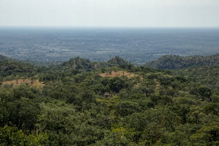 Árvores numa área de projecto de conservação florestal em Mbire, Zimbabué