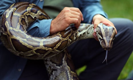 Kering – the company behind big brands including Gucci, Saint Laurent and Alexander McQueen – has is to build its own python farm.