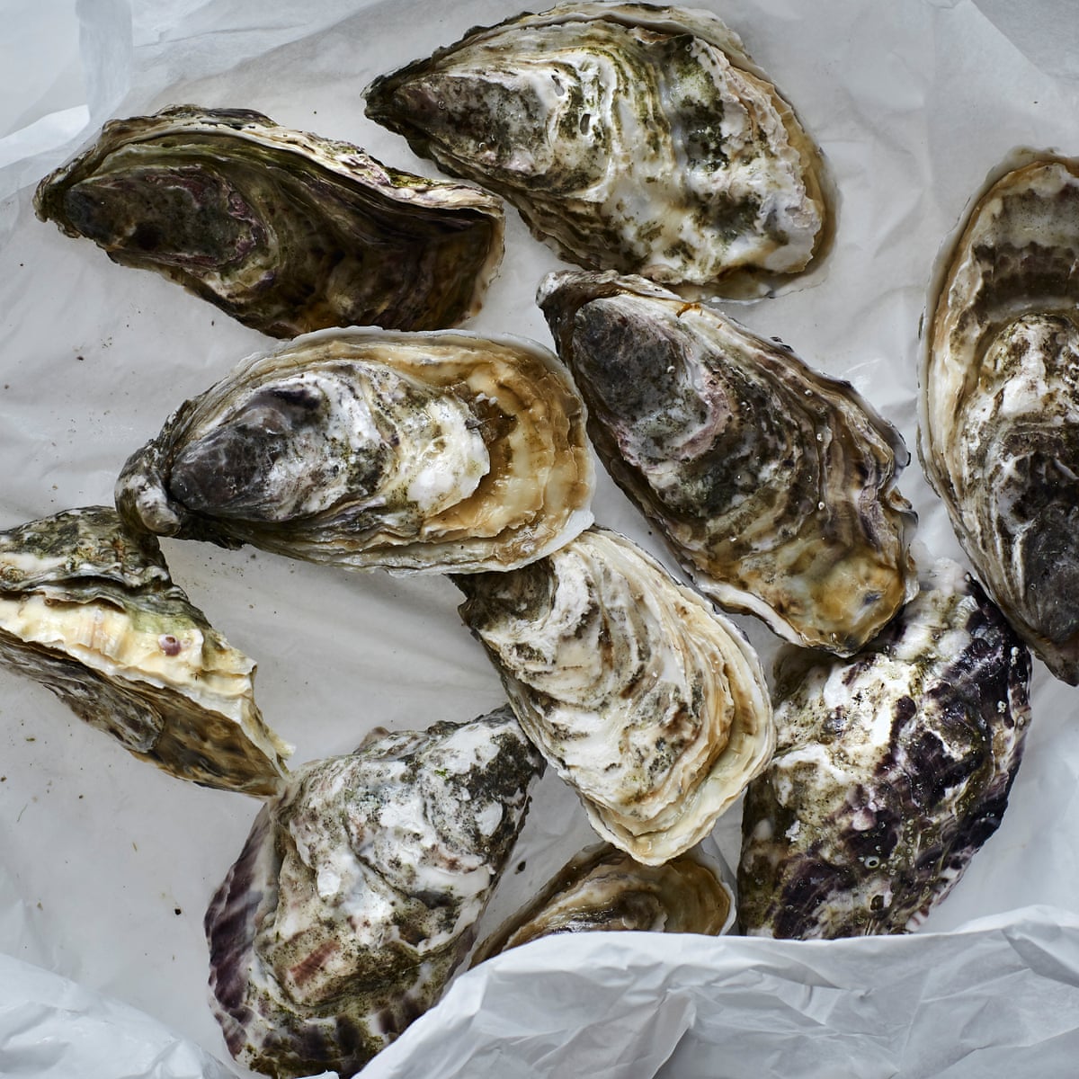 Would You Eat Oysters From A Vending Machine? 