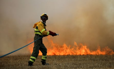 First Thing: Musk Offers General Amnesty To Suspended Twitter Accounts - The Guardian US 8 A firefighter tackles a blaze in a wheatfield in the province of Zamora, Spain, in July