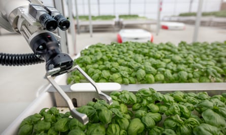 Iron Ox uses robots to produce food in greenhouses.