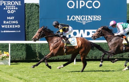 Hollie Doyle broke the record for the most number of winners by a female jockey on Brindavan, above, at Ascot in May.