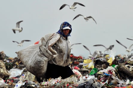 A rubbish collector looks for recyclable waste as seagulls fly overhead at a dump in Liaoning province