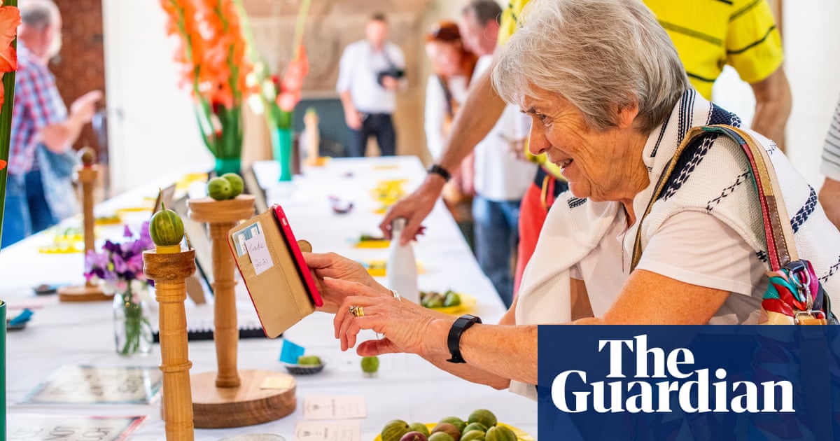 ‘They’re like our children’: gooseberry growers compete at Yorkshire show
