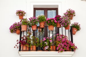Flower pots on a window terrace inFlower pots on a white window terrace, Sierra de Grazalema, Cadiz, Andalusia, Spain