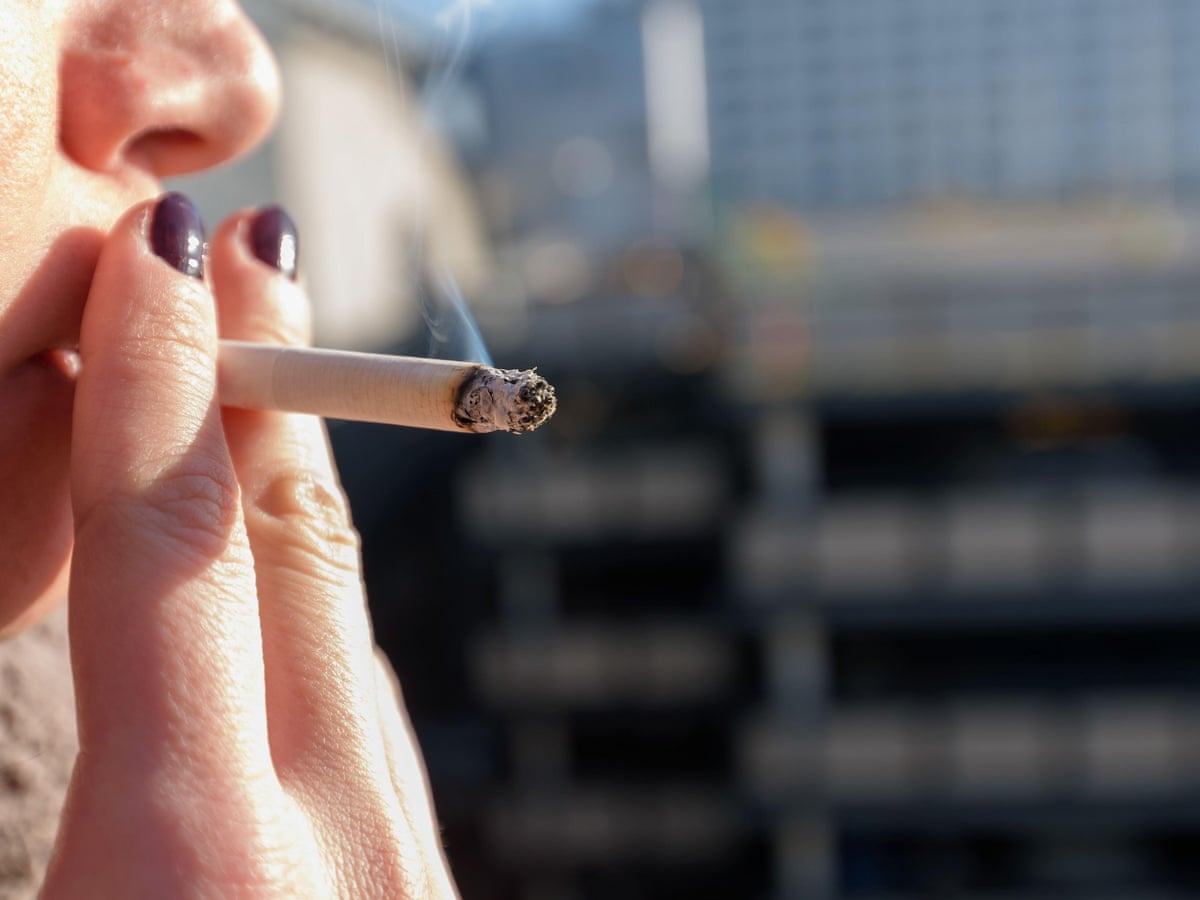 components of tobacco Each Clause of the Law Explained components of tobacco Each Clause of the Law Explained