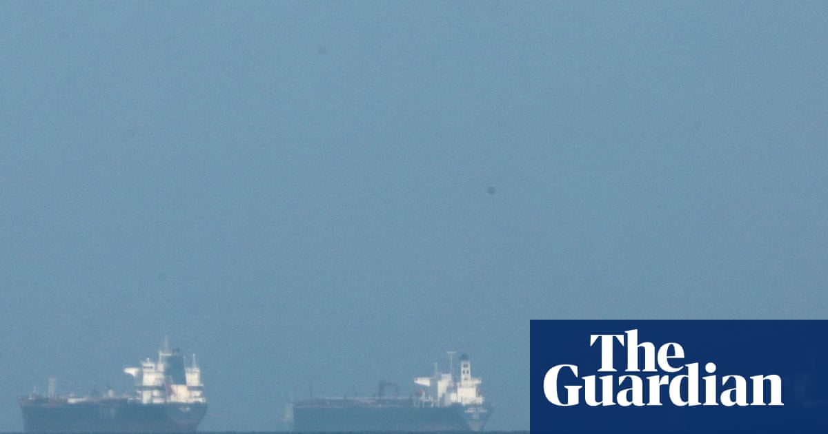 ‘A big burden for farmers’: Gulf shipping crisis threatens food price shock