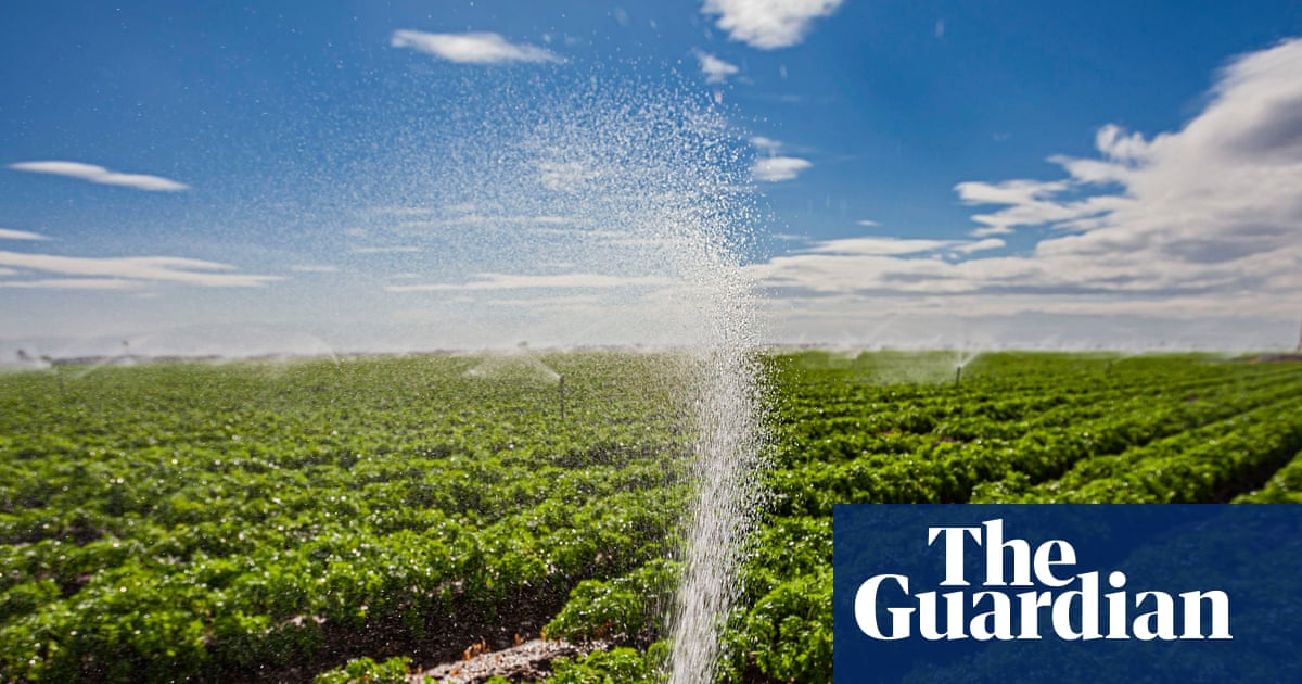 About half of California waterways contaminated with Pfas, pesticide analysis finds