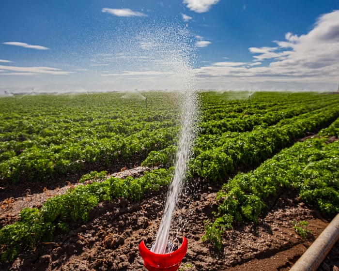 About half of California waterways contaminated with Pfas, pesticide analysis finds