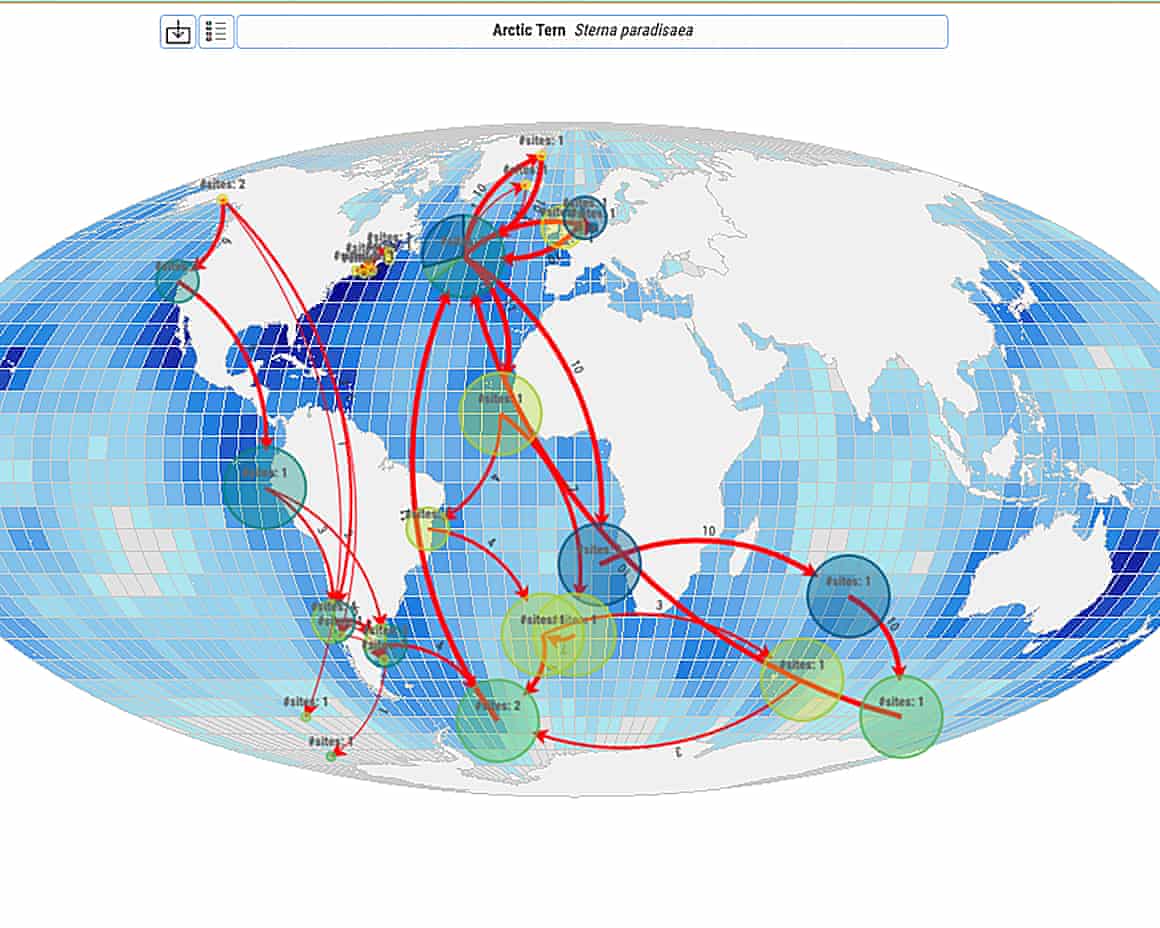 A world map with migration routes marked in red