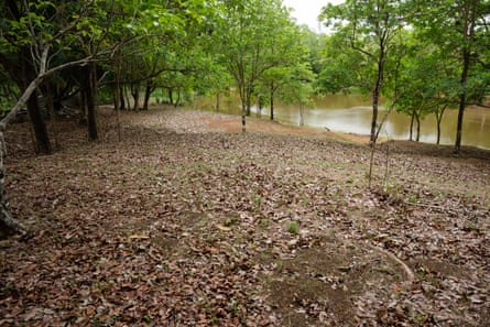 A lake or river in a woodland area.